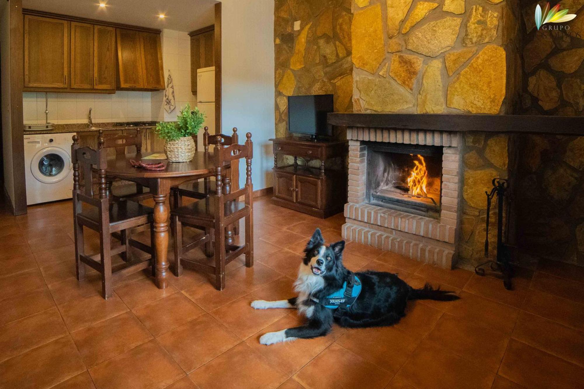 Apartamentos Los Olivos อัลกาลา เดล ฆูการ์ ภายนอก รูปภาพ